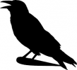 Corbeau