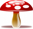Champignons