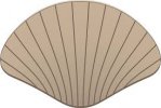 Coquillage