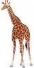 Girafe