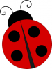 Coccinelle